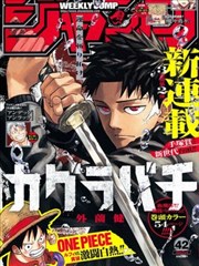 日本精品漫画 海贼王